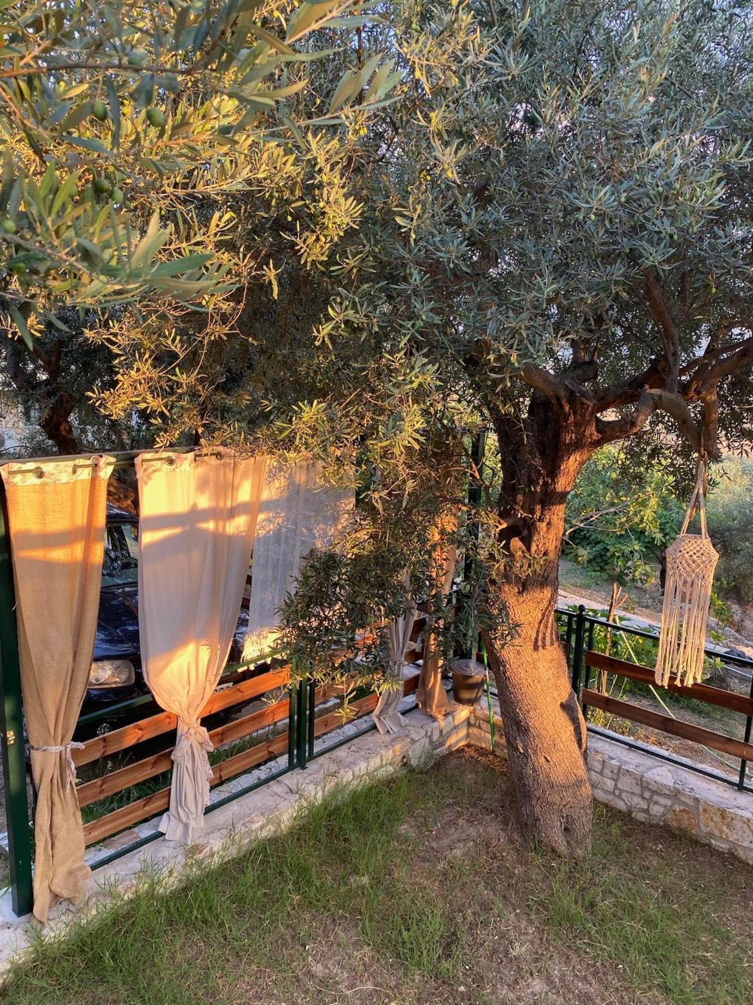 Liodentro - Olea Villa ปลาตาเรีย ภายนอก รูปภาพ