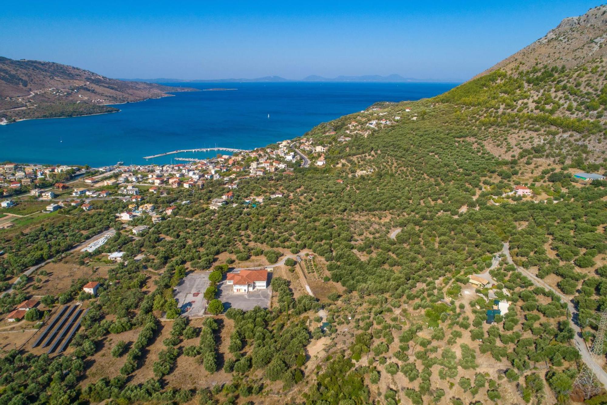 Liodentro - Olea Villa ปลาตาเรีย ภายนอก รูปภาพ