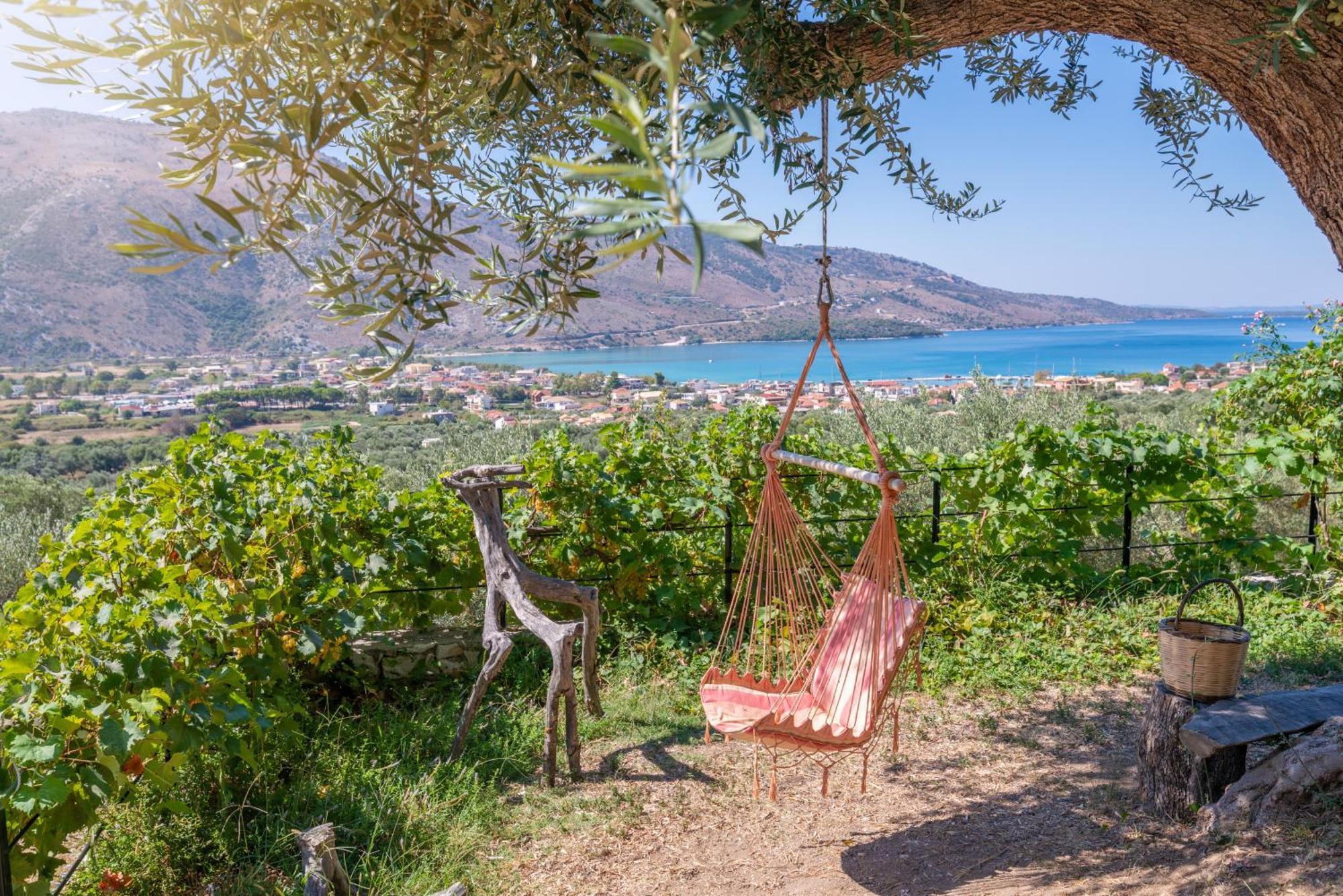 Liodentro - Olea Villa ปลาตาเรีย ภายนอก รูปภาพ