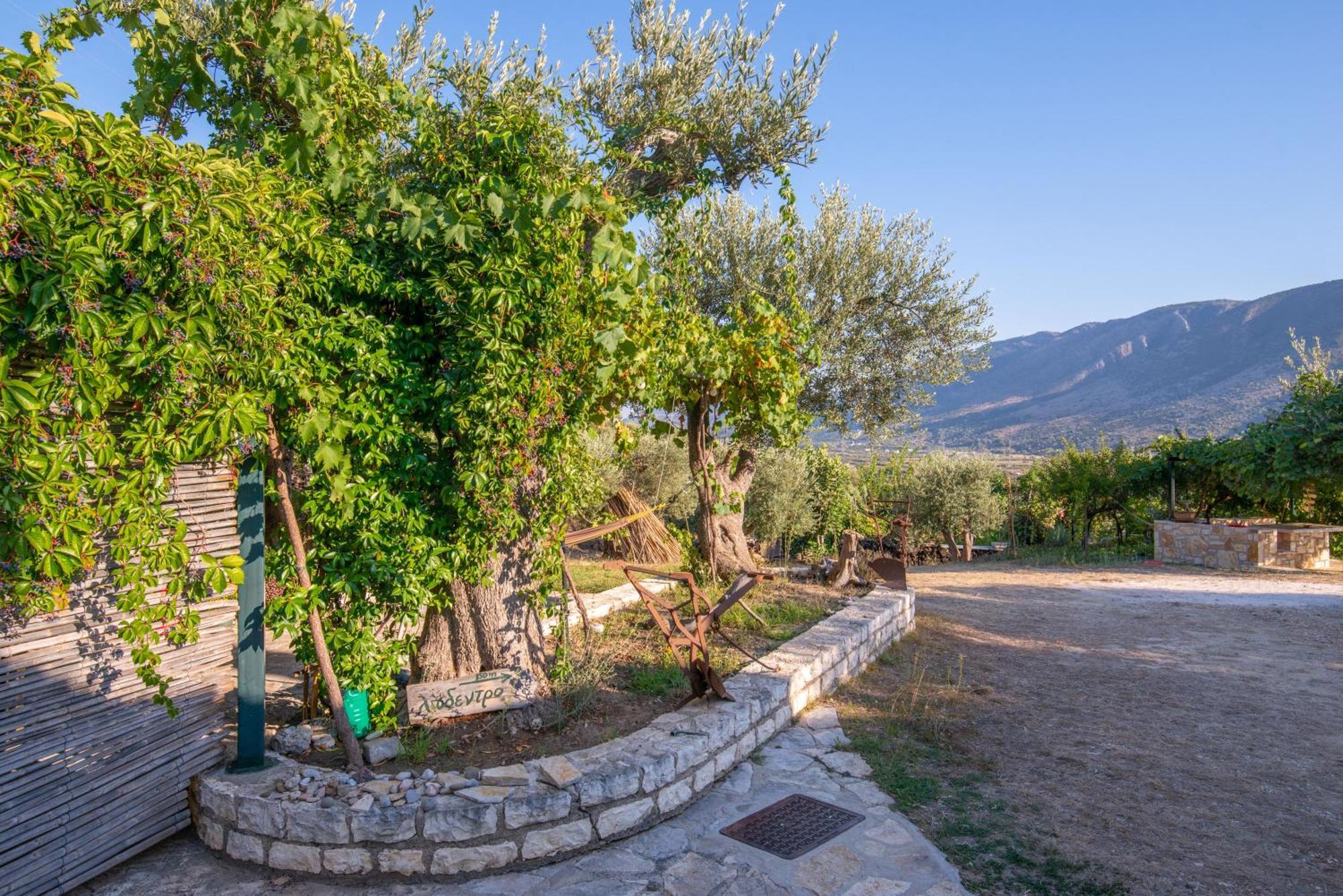 Liodentro - Olea Villa ปลาตาเรีย ภายนอก รูปภาพ