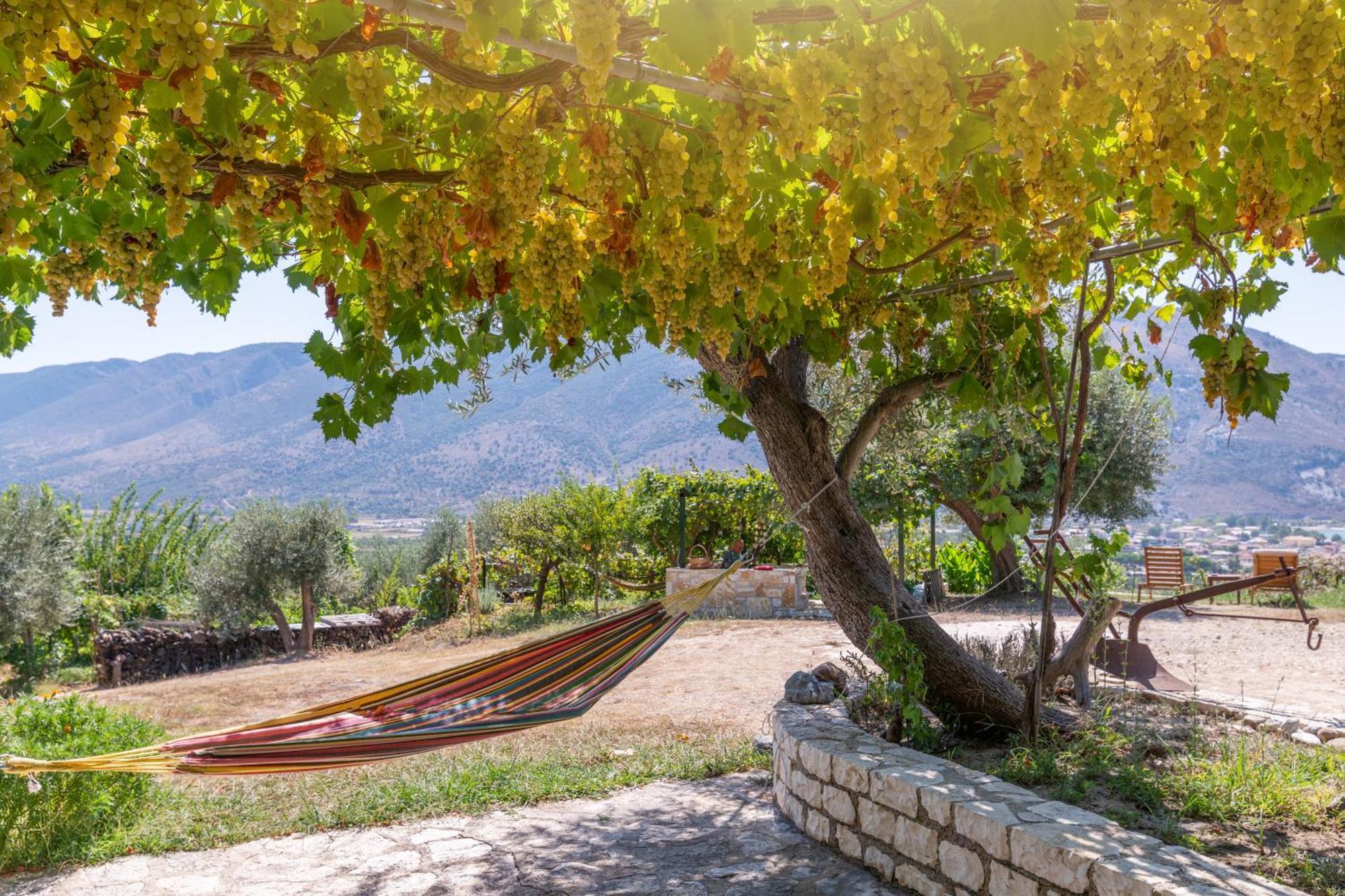 Liodentro - Olea Villa ปลาตาเรีย ภายนอก รูปภาพ