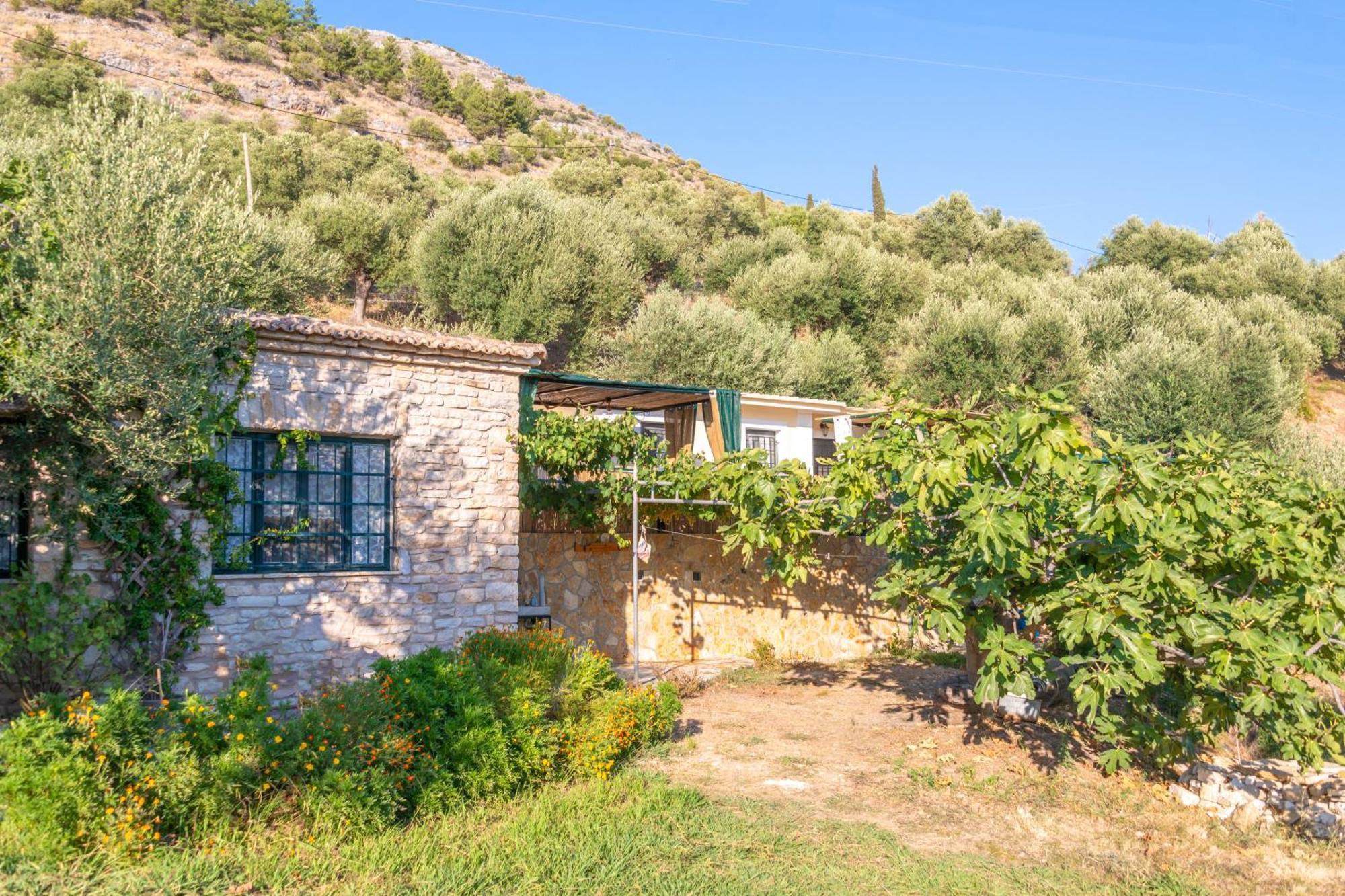 Liodentro - Olea Villa ปลาตาเรีย ภายนอก รูปภาพ