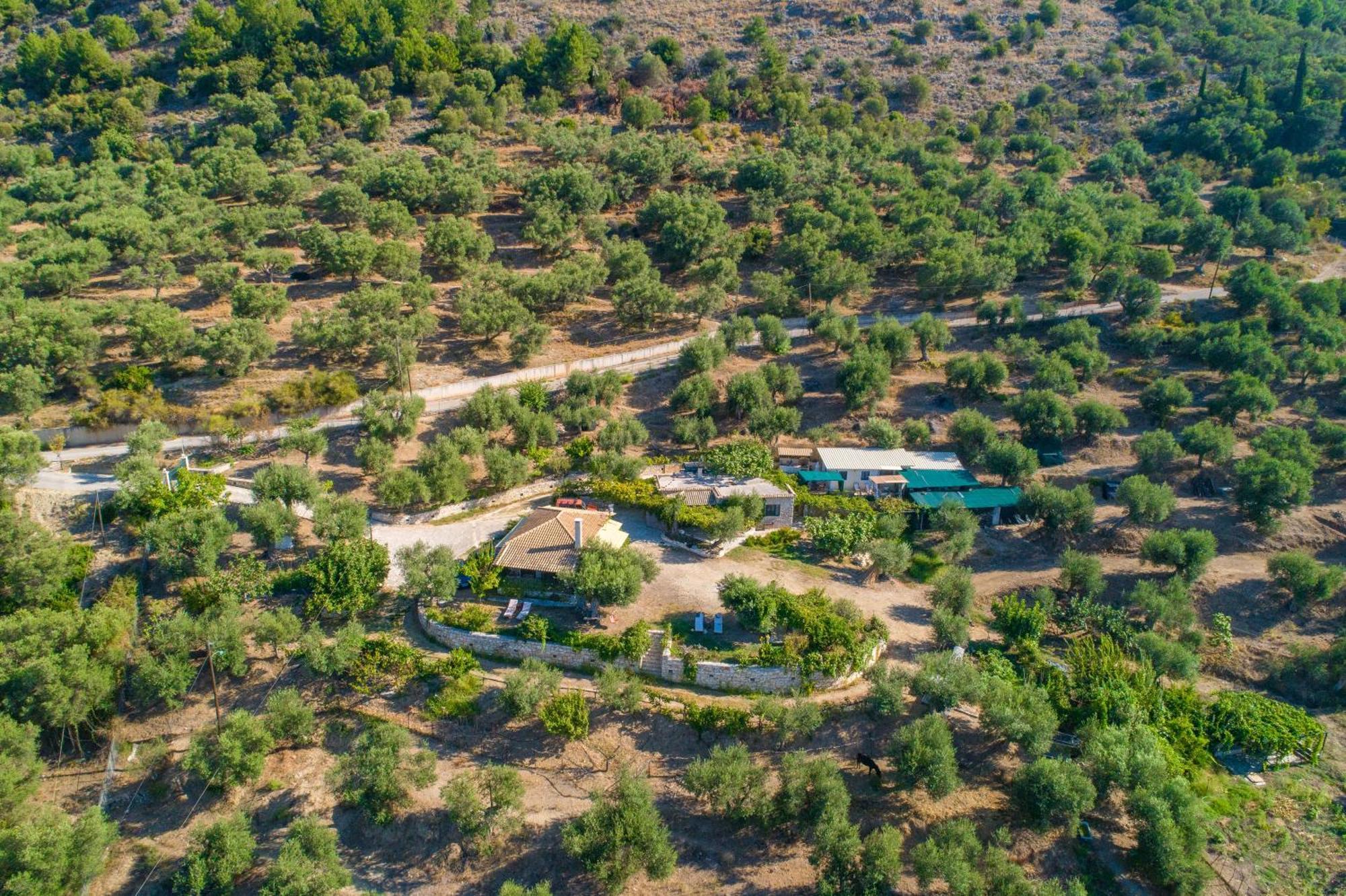 Liodentro - Olea Villa ปลาตาเรีย ภายนอก รูปภาพ