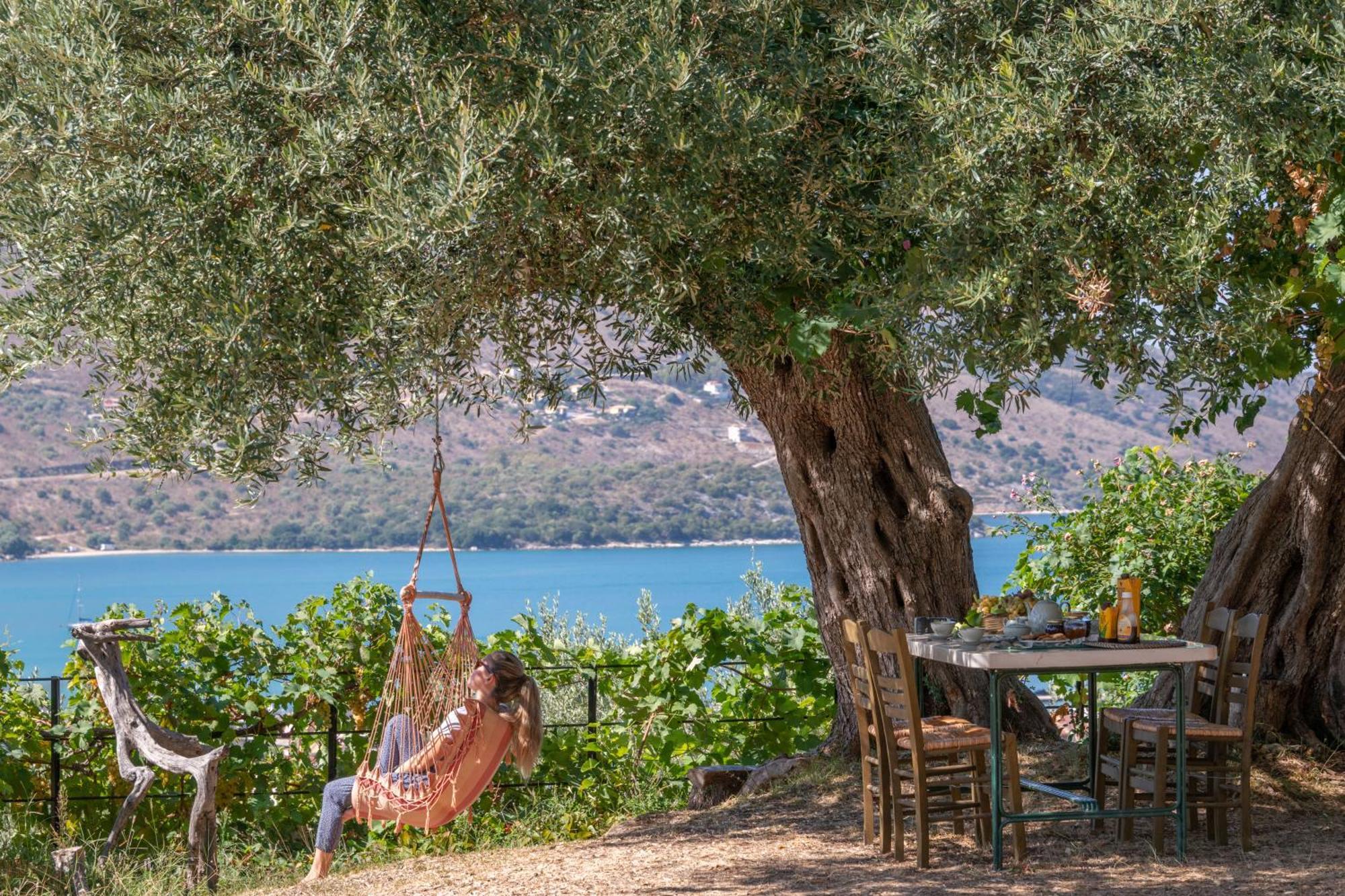 Liodentro - Olea Villa ปลาตาเรีย ภายนอก รูปภาพ