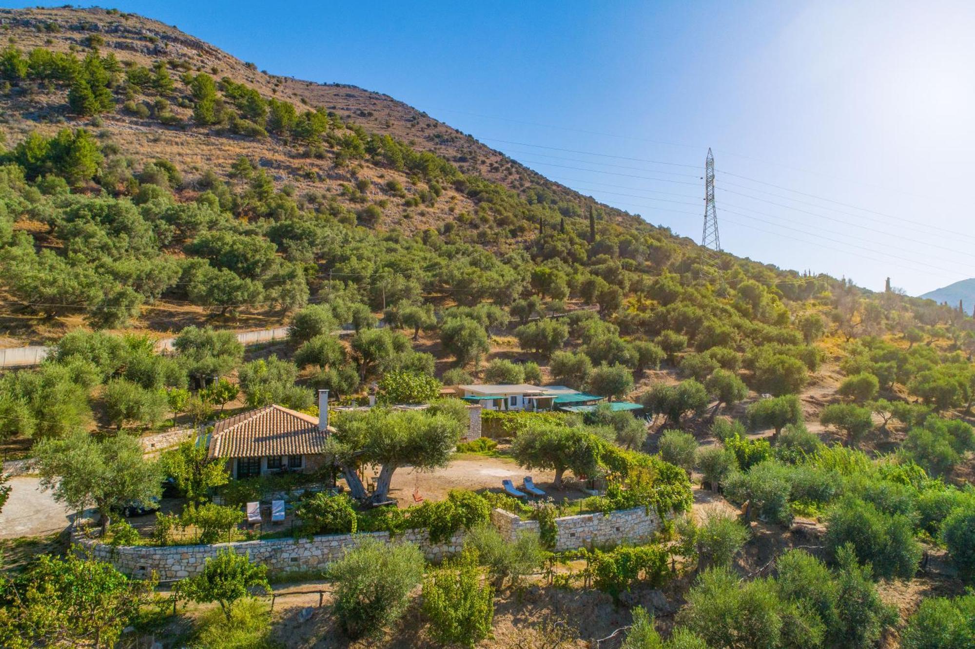 Liodentro - Olea Villa ปลาตาเรีย ภายนอก รูปภาพ