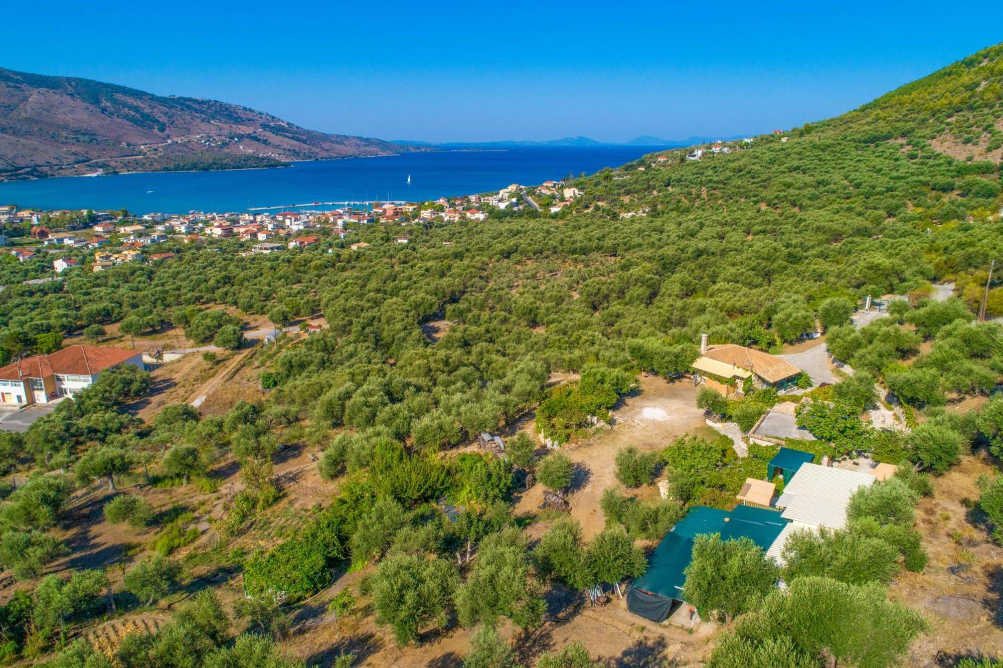 Liodentro - Olea Villa ปลาตาเรีย ภายนอก รูปภาพ
